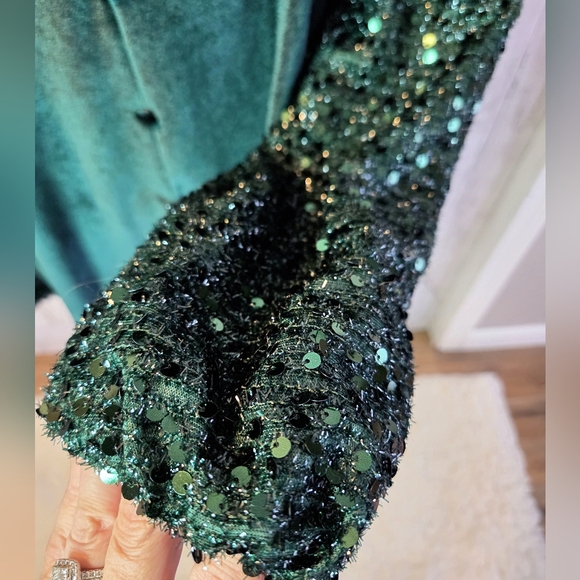 Velvet Green Blouse with Sequin Sleeves - Picture 3 of 5